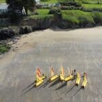 RemoteMediaFile_6554024_0_2022_04_18_11_34_50